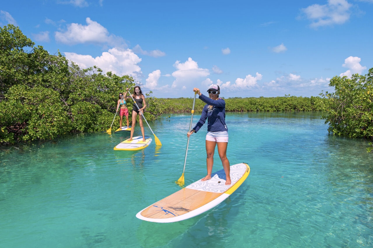 Paddleboarding through Bahamas mangrove creeks