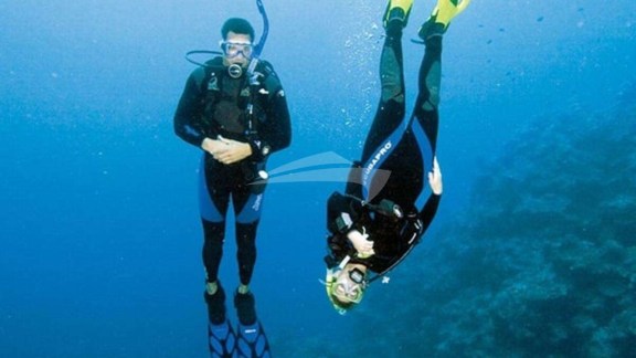 Image of WIND CHASER I yacht #16