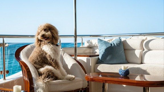 Image of SECOND LOVE yacht #9