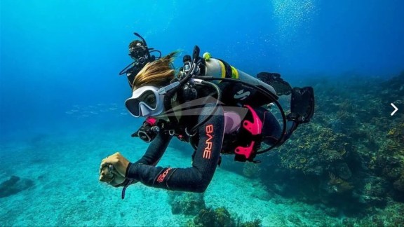 Image of AMMONITE yacht #17