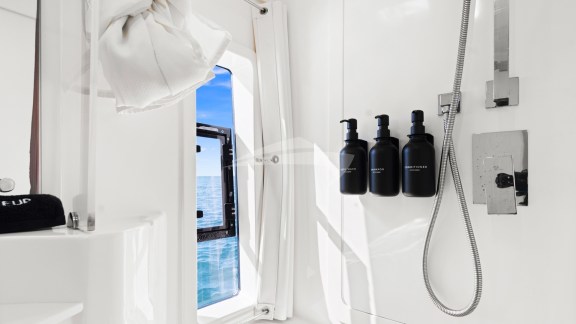 Guest head and shower