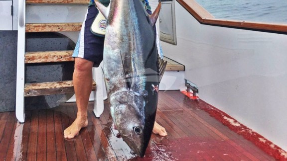 Image of EL REY yacht #24