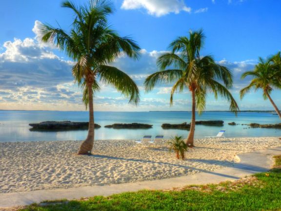 Abaco, Yacht Charter, Bahamas, Beach, Palm Trees
