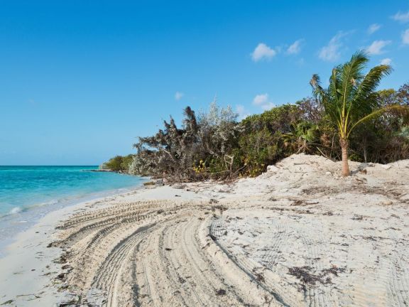 Coco Cay Bahamas Berry Islands Yacht Charter