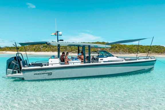 Tender to Luxury Motor Yacht 'Oculus'