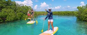 Yacht Charter in Rose Island