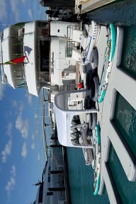 Real Yacht Image from Review