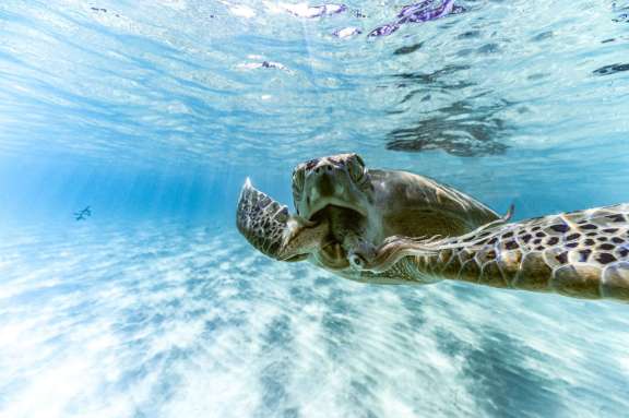 Image of PurelyBlu yacht #15