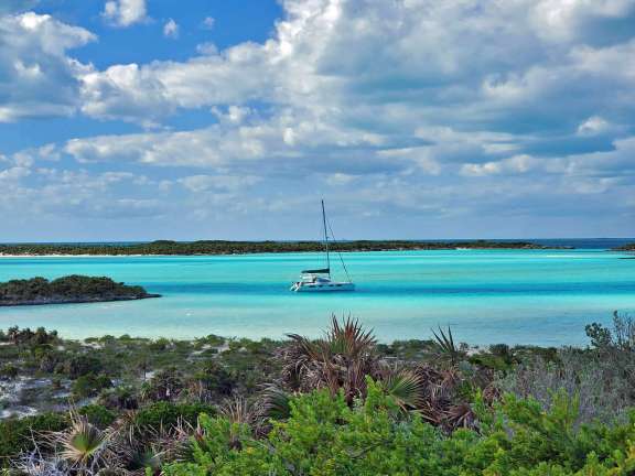 The Trip of a Lifetime...