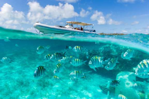 Explore the Bahamas