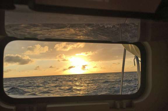 Your room with a view!