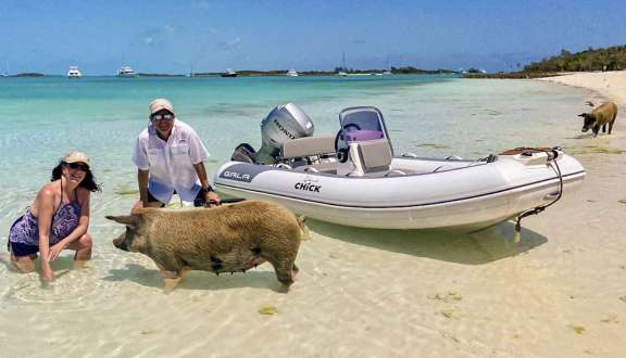 Image of KITTIWAKE yacht #17