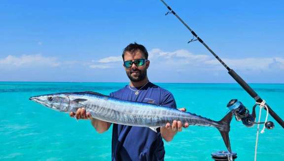 Image of KITTIWAKE yacht #19