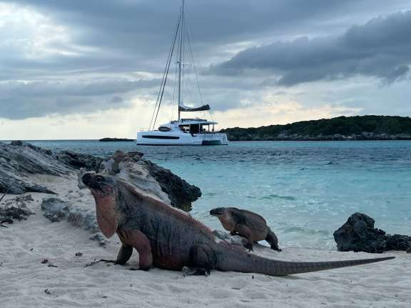 Image of LOCATION 5.4 yacht #3