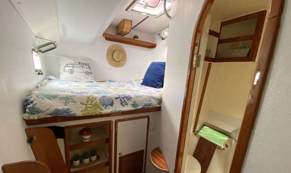 Image of MAGIC BUS yacht #8