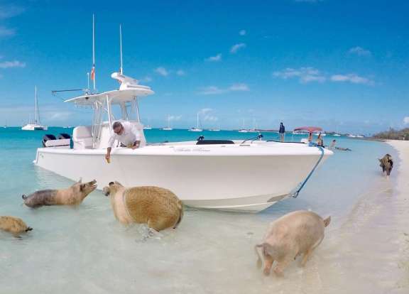 Image of BELLA RONA yacht #12