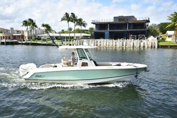 Image of FREEDOM yacht #15