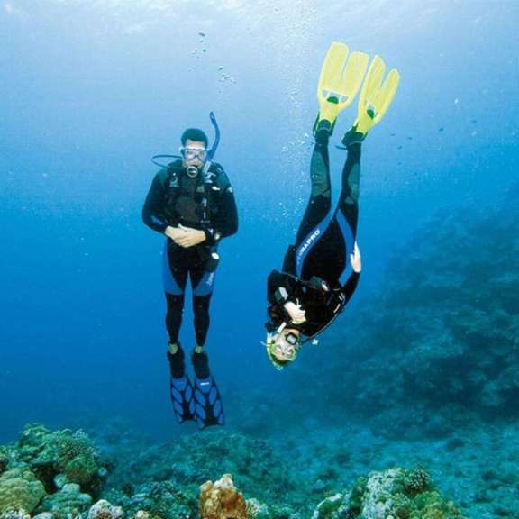 Image of WIND CHASER I yacht #16