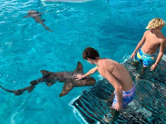 Image of NAUTI DOGS 5.4 yacht #17