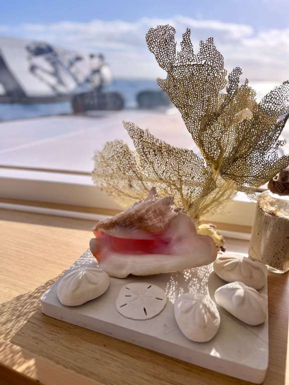 Image of MIRA SOL yacht #18