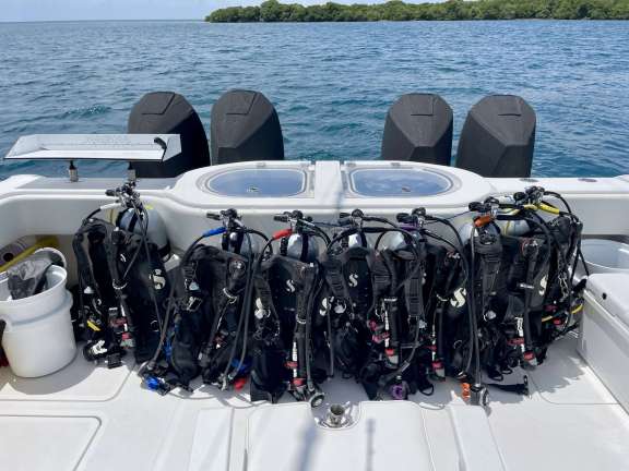 Diving from the Invincible Tender