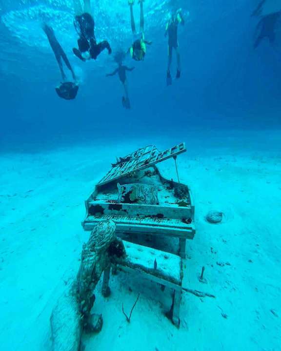 Image of M LEGACY yacht #19