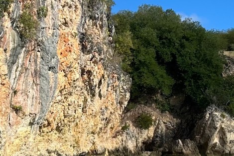 Review img # 36 of the yacht ASCENSION