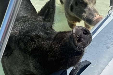 Review img # 7 of the yacht ATLANTIA