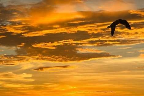 Review img # 5 of the yacht DREAM BEAUTY