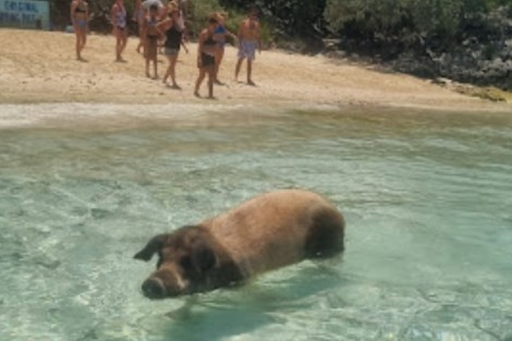 Review img # 15 of the yacht DREAM BEAUTY