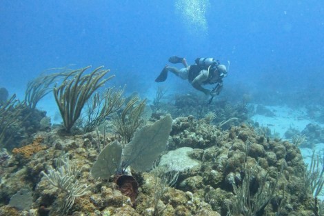 Review img # 2 of the yacht EARNOUT