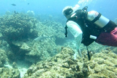 Review img # 3 of the yacht EARNOUT