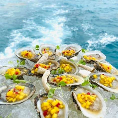 Food onboard HOYA SAXA # 7