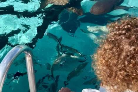 Review img # 7 of the yacht MISS ELIZABETH