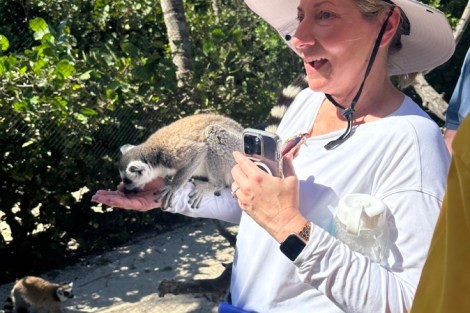 Review img # 37 of the yacht MUCHO GUSTO