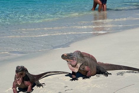 Review img # 41 of the yacht TAHINA