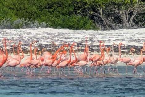 Review img # 6 of the yacht VALENTINE